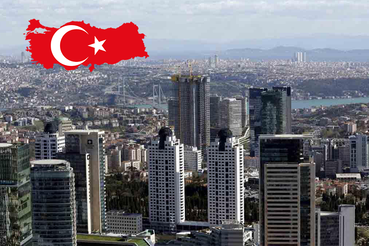انواع شرکت ها در ترکیه